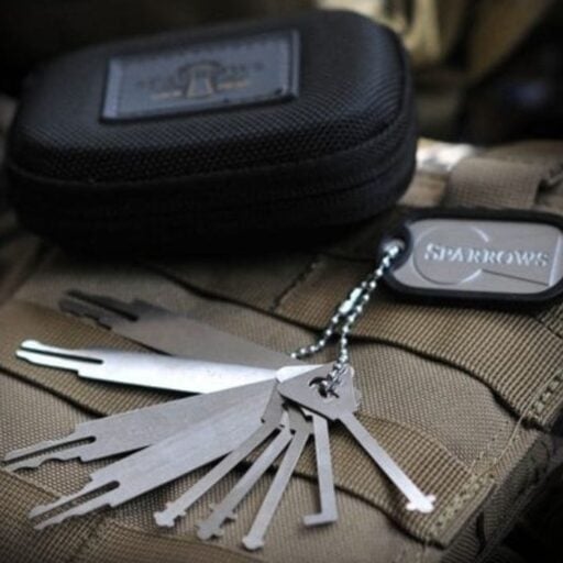 Wafer and Warded Pick Set