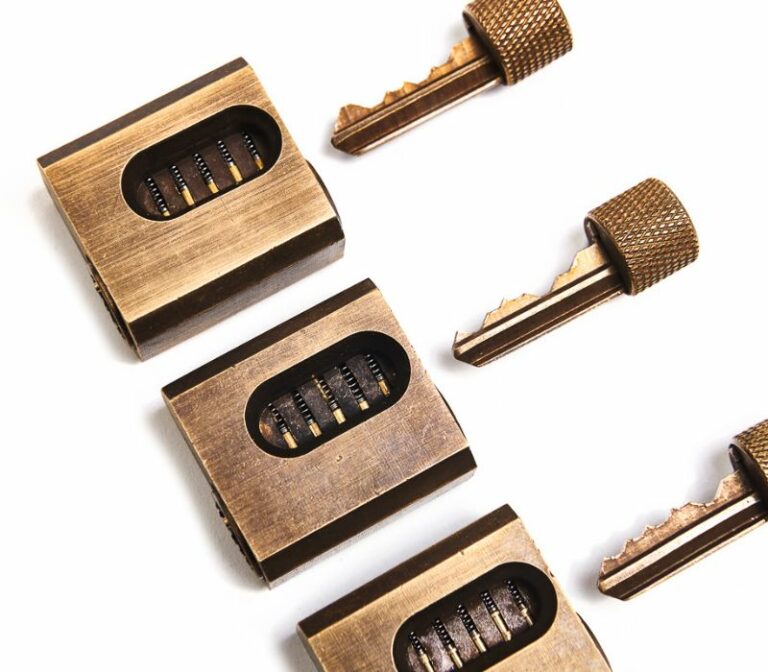 Pickpals Cutaway Lock bundle